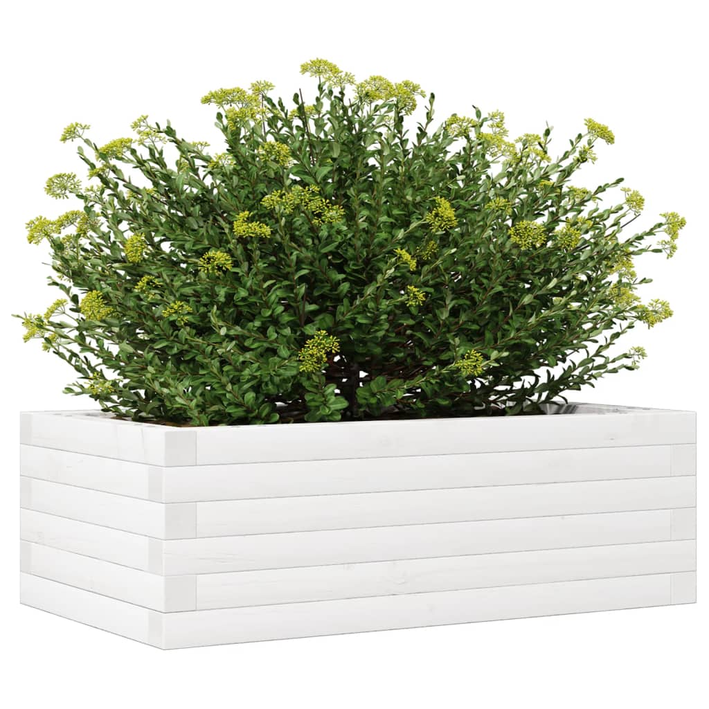 Plantepotte Hvid 70x40x23 cm Massiv Fyrretræ