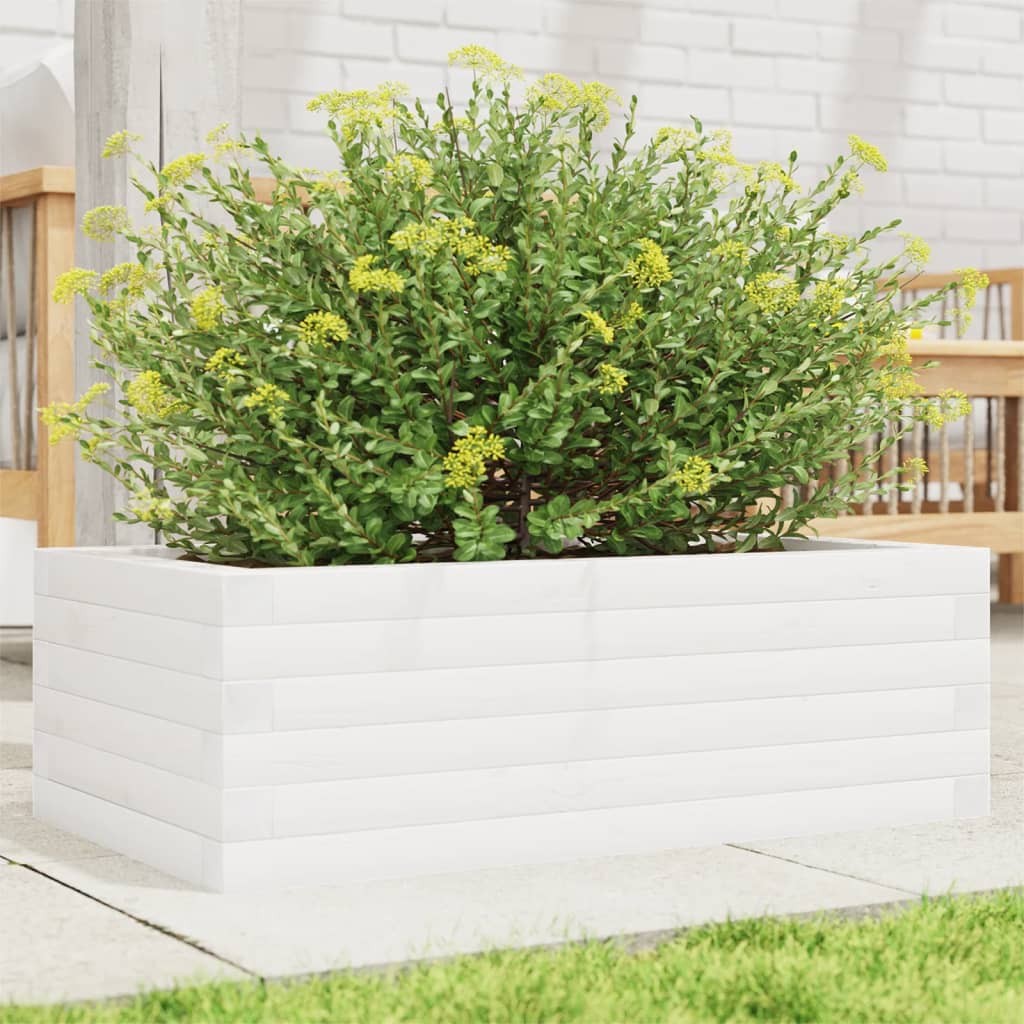 Plantepotte Hvid 70x40x23 cm Massiv Fyrretræ