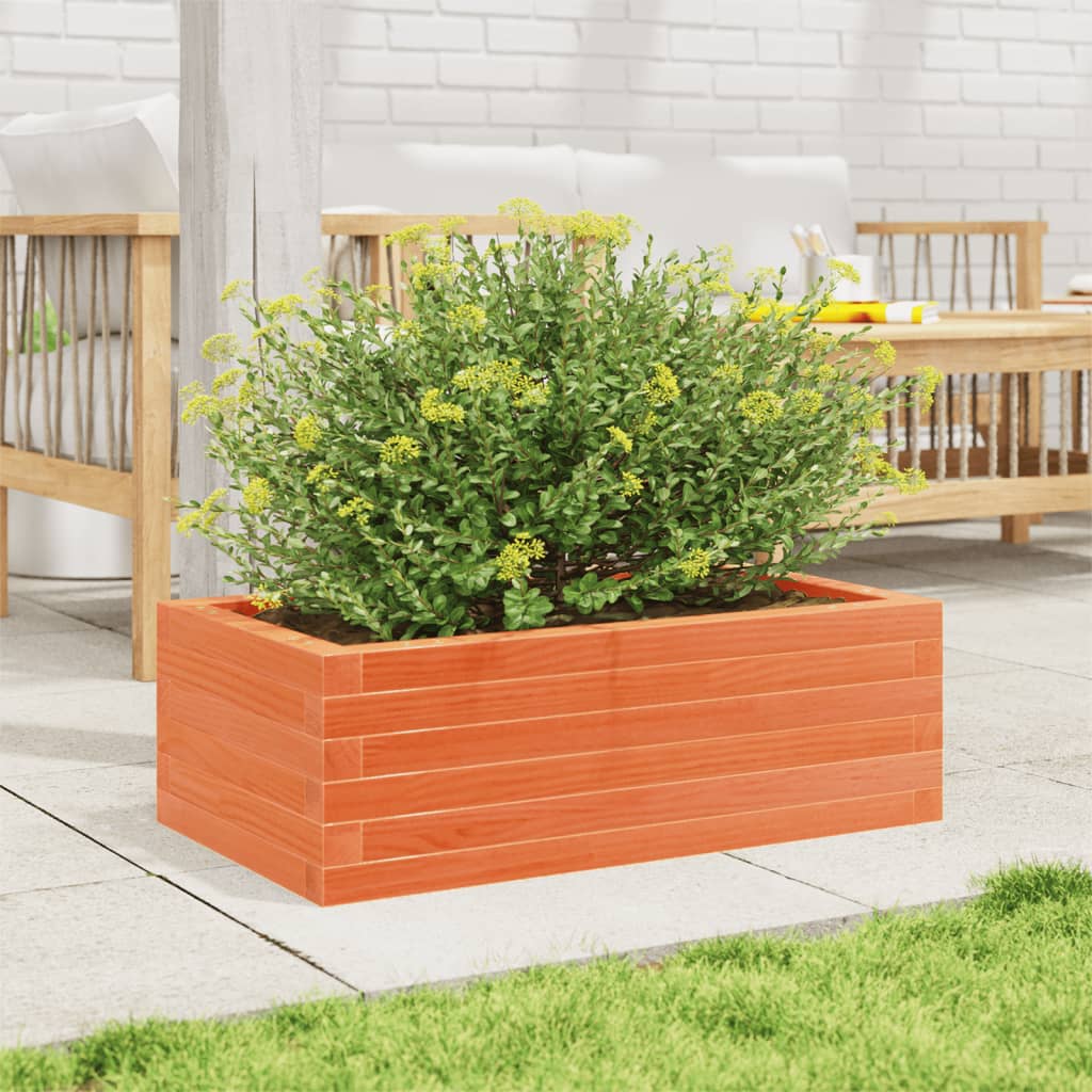 Plantekrukke voks brun 70x40x23 cm massivt fyrretræ