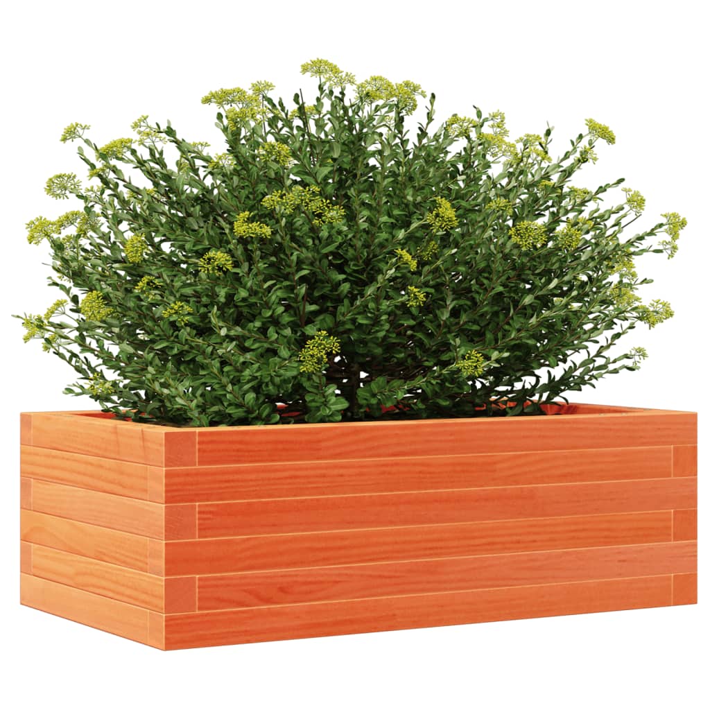 Plantekrukke voks brun 70x40x23 cm massivt fyrretræ
