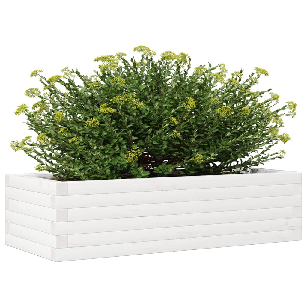 Plantepotte Hvid 90x40x23 cm Massiv Fyrretræ