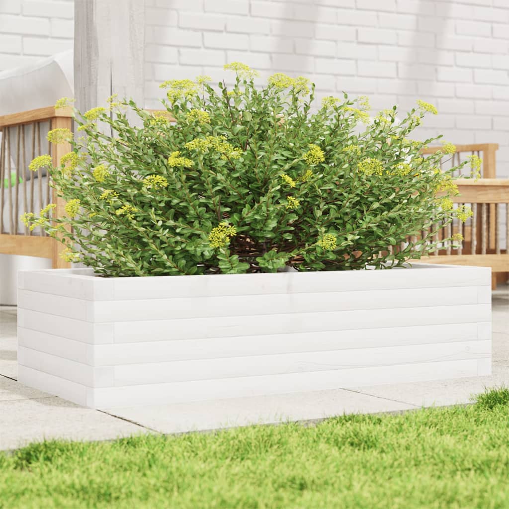 Plantepotte Hvid 90x40x23 cm Massiv Fyrretræ