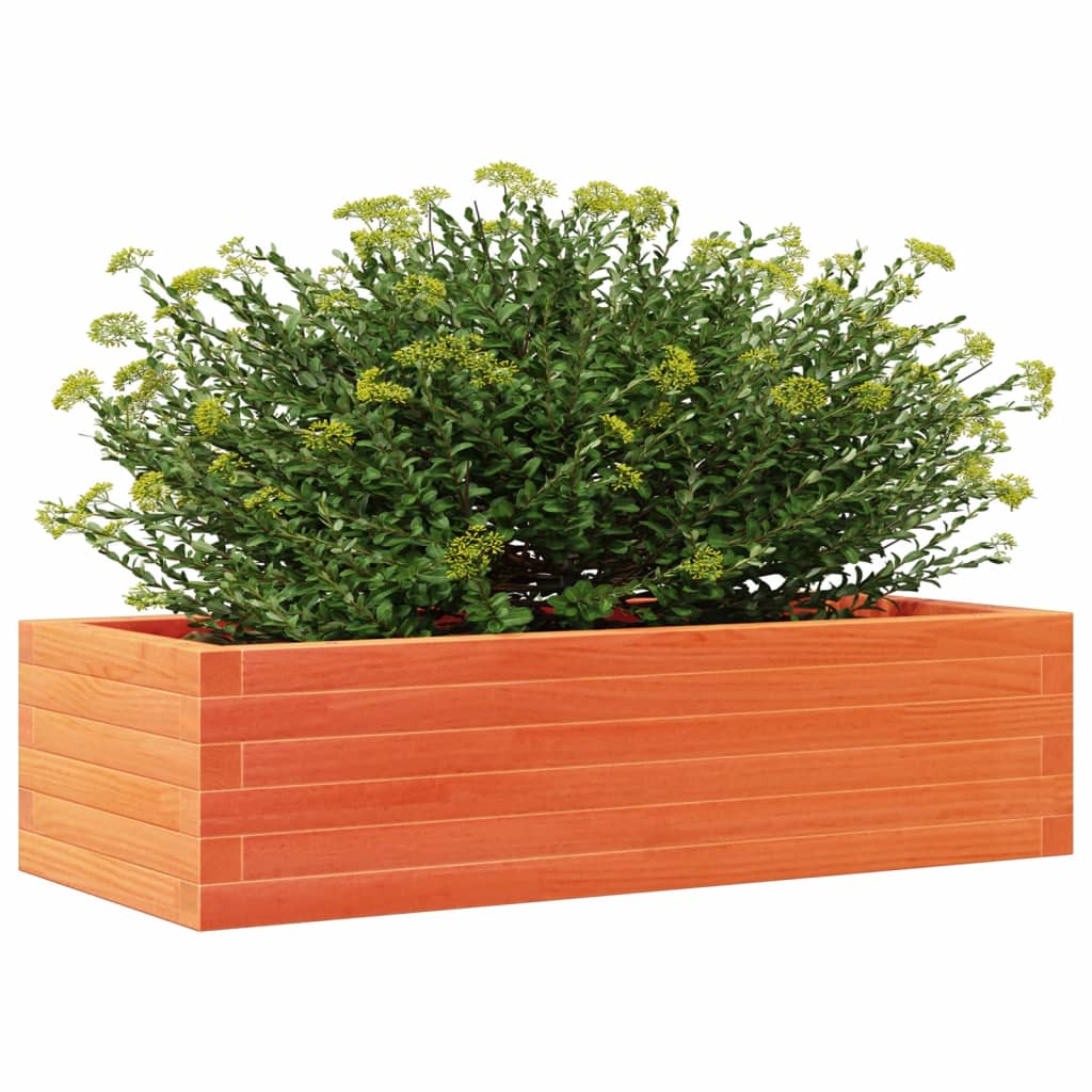 Plantepotte voks brun 90x40x23 cm massivt fyrretræ