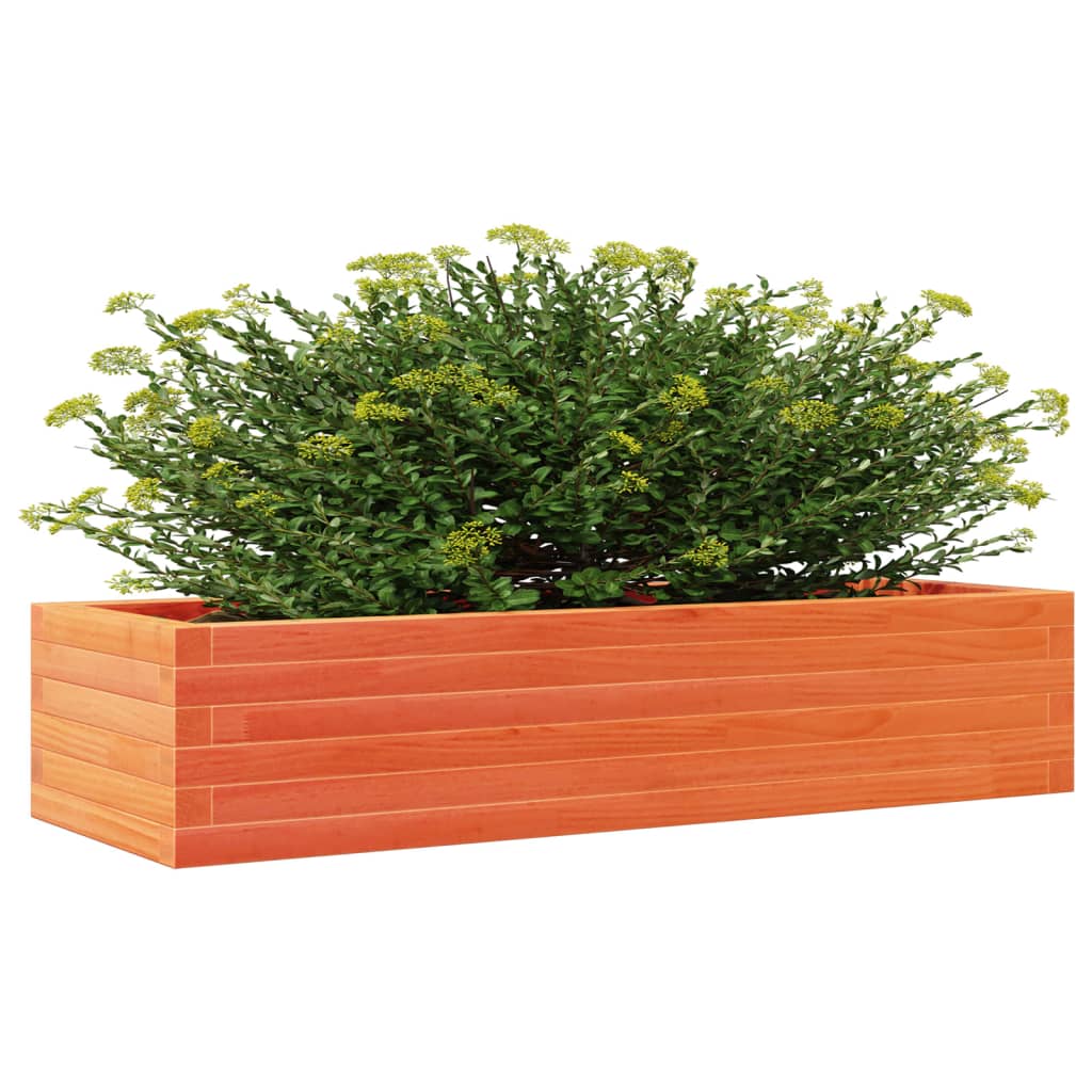 Plantepotte voks brun 110x40x23 cm massivt fyrretræ