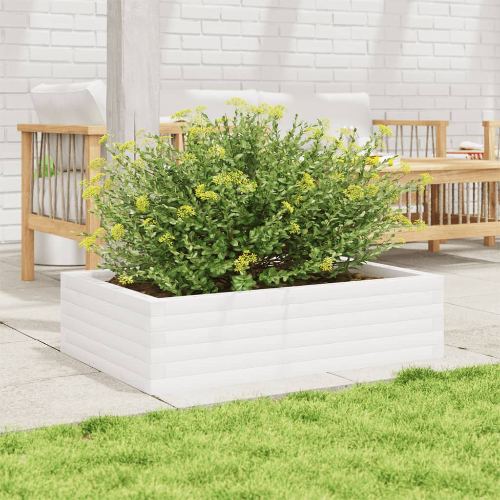 Plantepotte Hvid 90x60x23 cm Massiv Fyrretræ