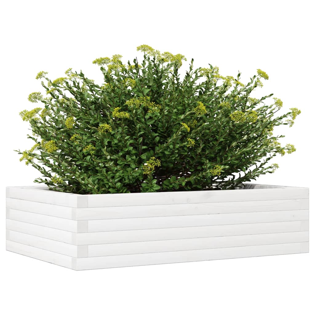 Plantepotte Hvid 90x60x23 cm Massiv Fyrretræ
