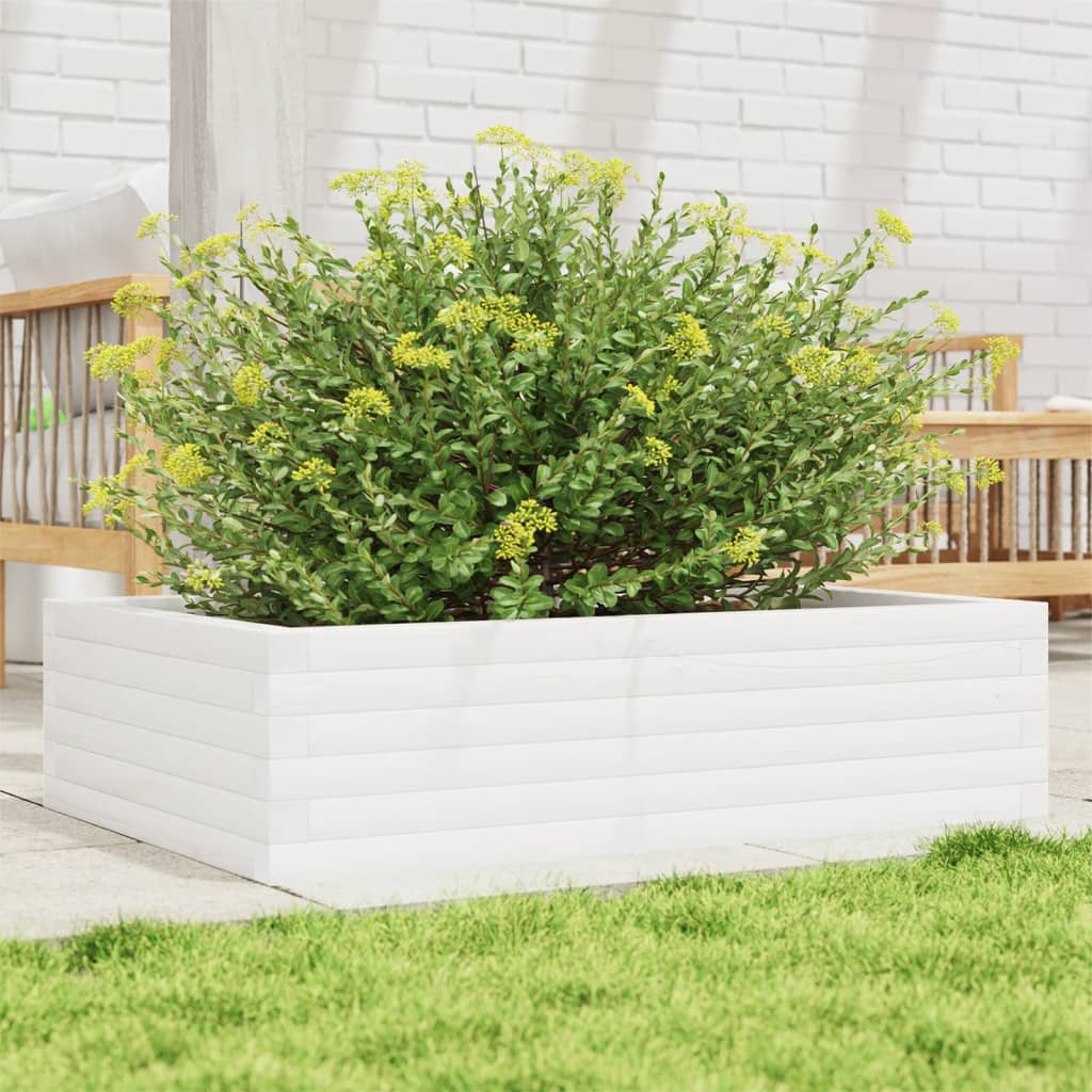 Plantepotte Hvid 90x60x23 cm Massiv Fyrretræ