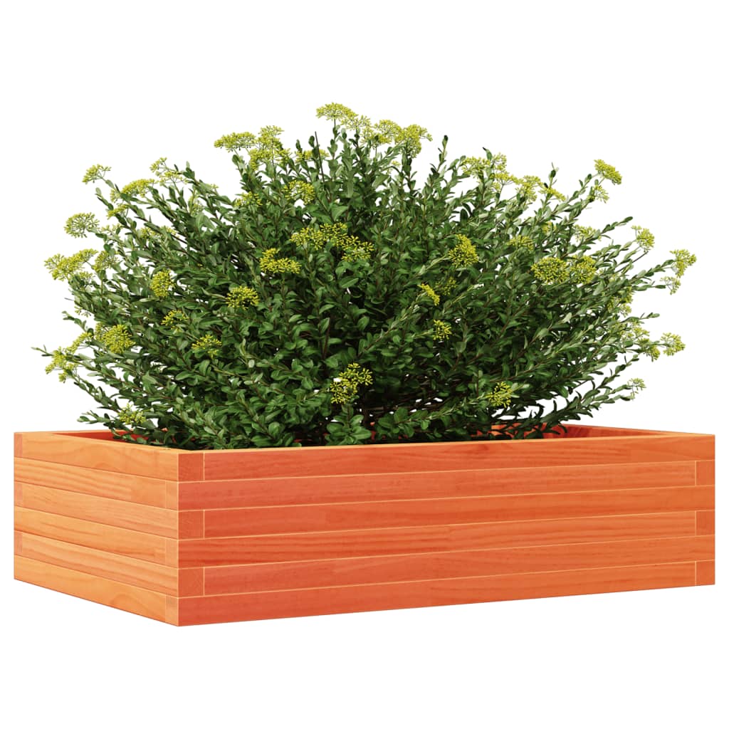 Plantekrukke voks brun 90x60x23 cm massivt fyrretræ