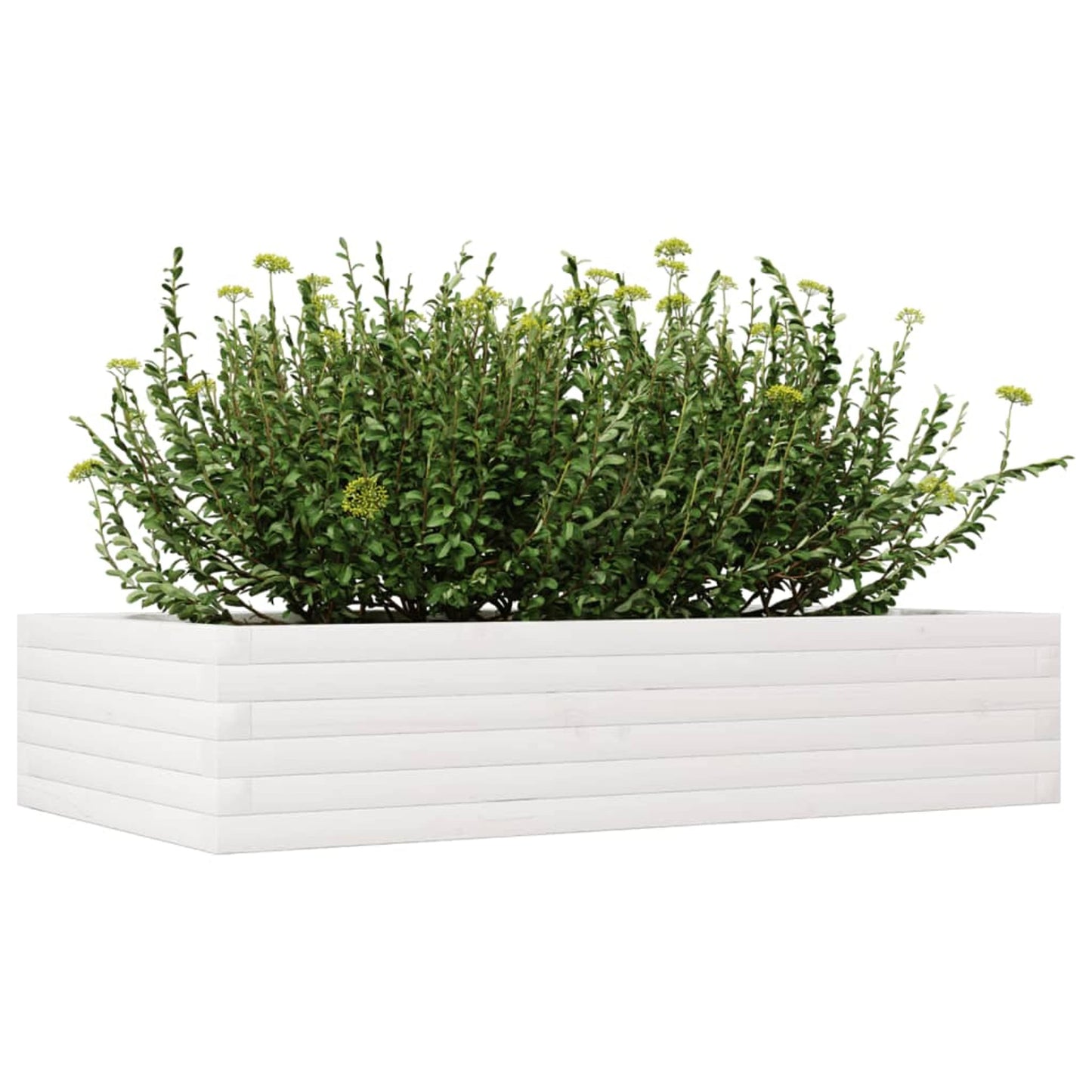 Plantepotte Hvid 110x60x23 cm Massiv Fyrretræ