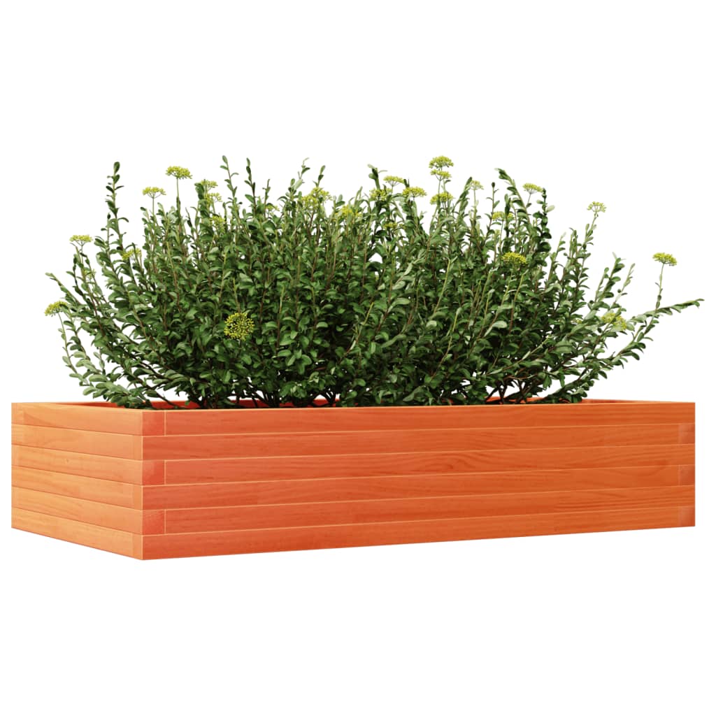 Plantepotte voks brun 110x60x23 cm massivt fyrretræ