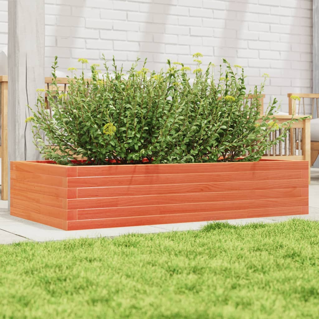 Plantepotte voks brun 110x60x23 cm massivt fyrretræ