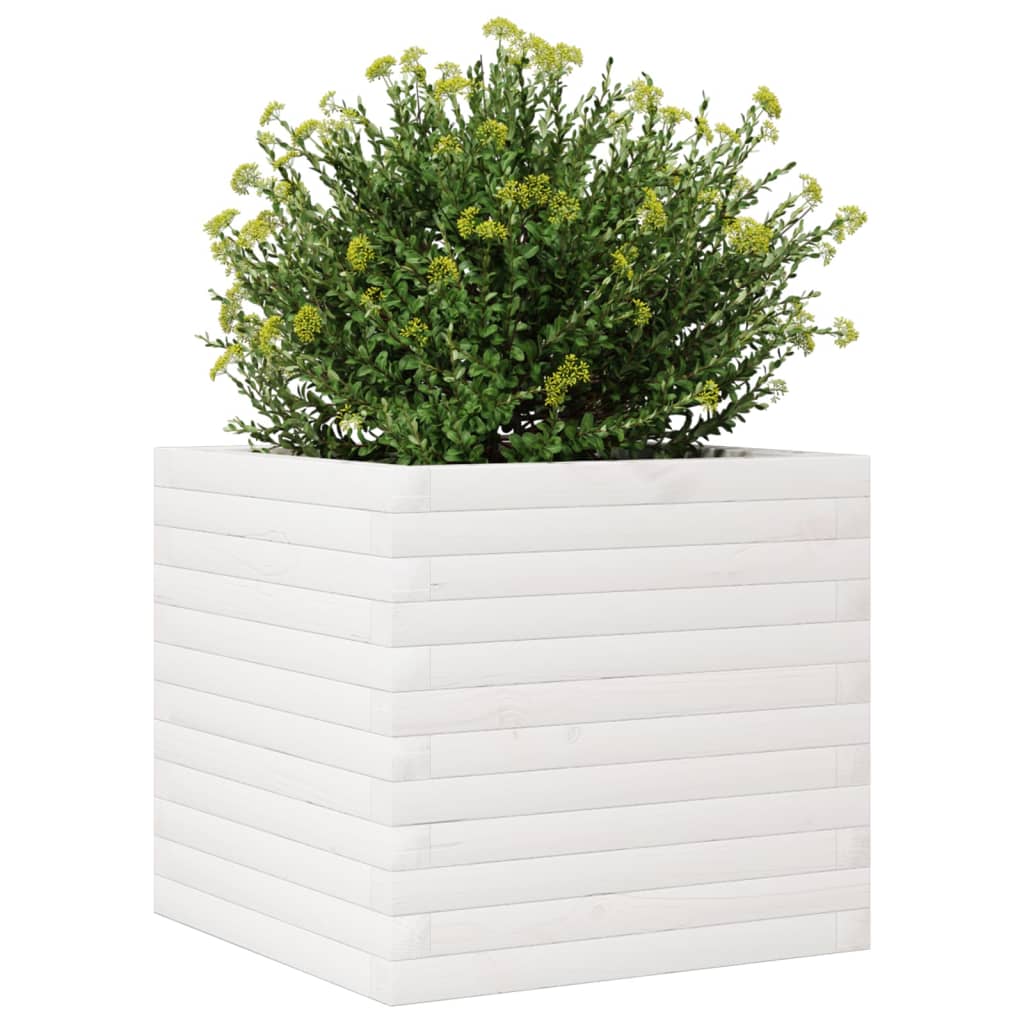Plantepotte Hvid 50x50x45,5 cm Massiv Fyrretræ
