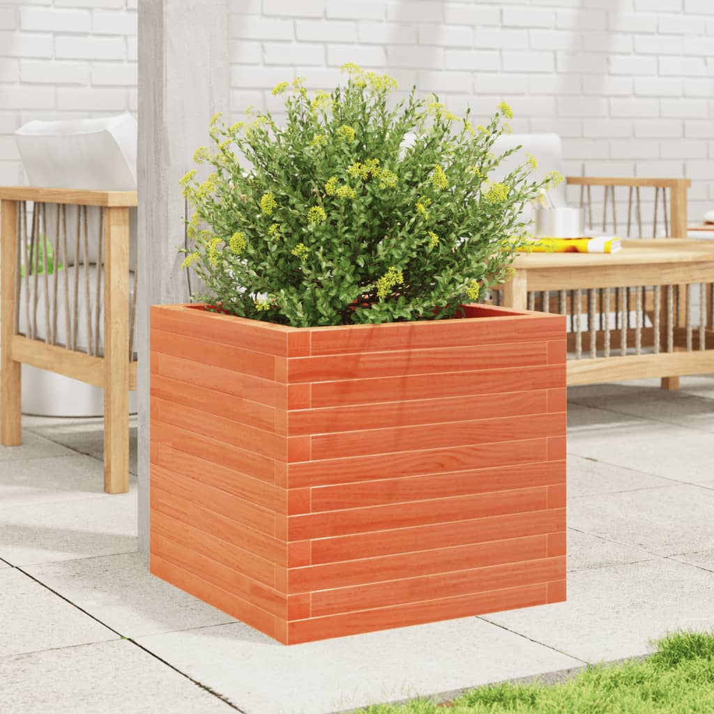 Plantepotte voks brun 50x50x45,5 cm massivt fyrretræ