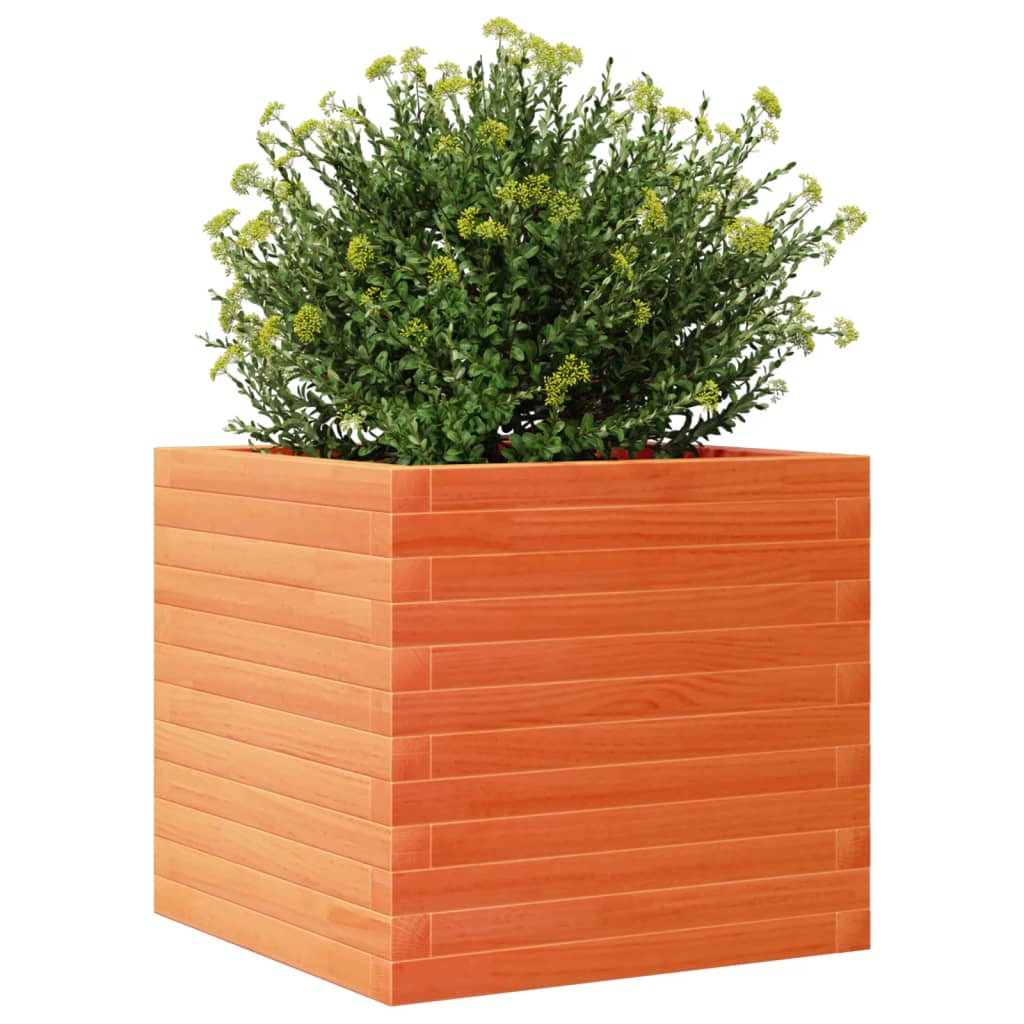 Plantepotte voks brun 50x50x45,5 cm massivt fyrretræ