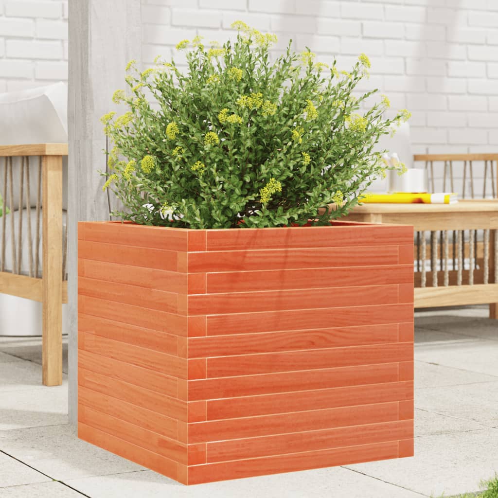 Plantepotte voks brun 50x50x45,5 cm massivt fyrretræ