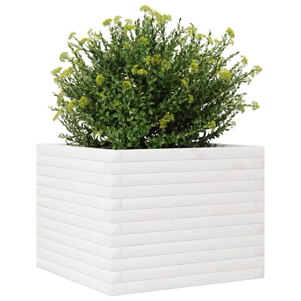 Plantepotte Hvid 60x60x45,5 cm Massiv Fyrretræ