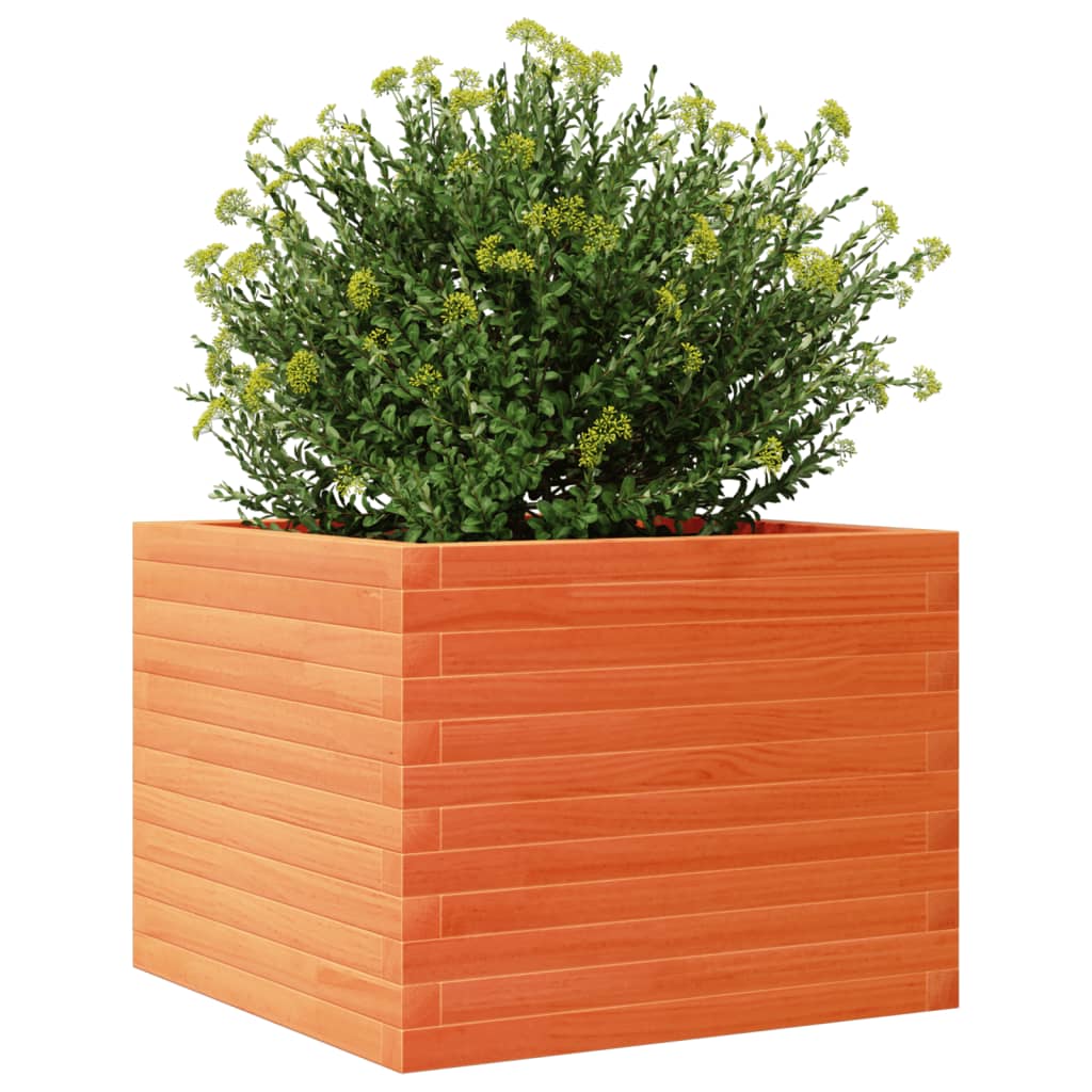 Plantekrukke voks brun 60x60x45,5 cm massivt fyrretræ