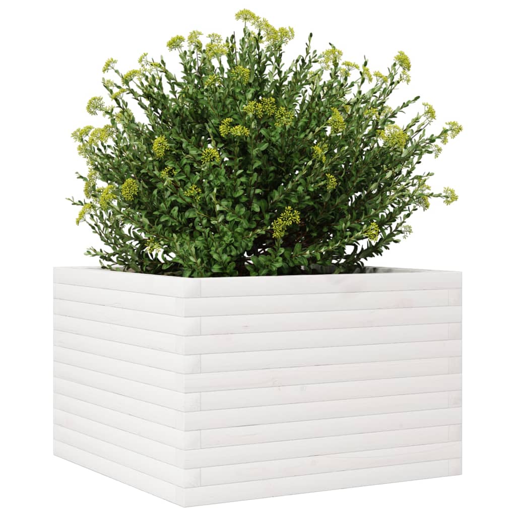 Plantepotte Hvid 70x70x45,5 cm Massiv fyrretræ