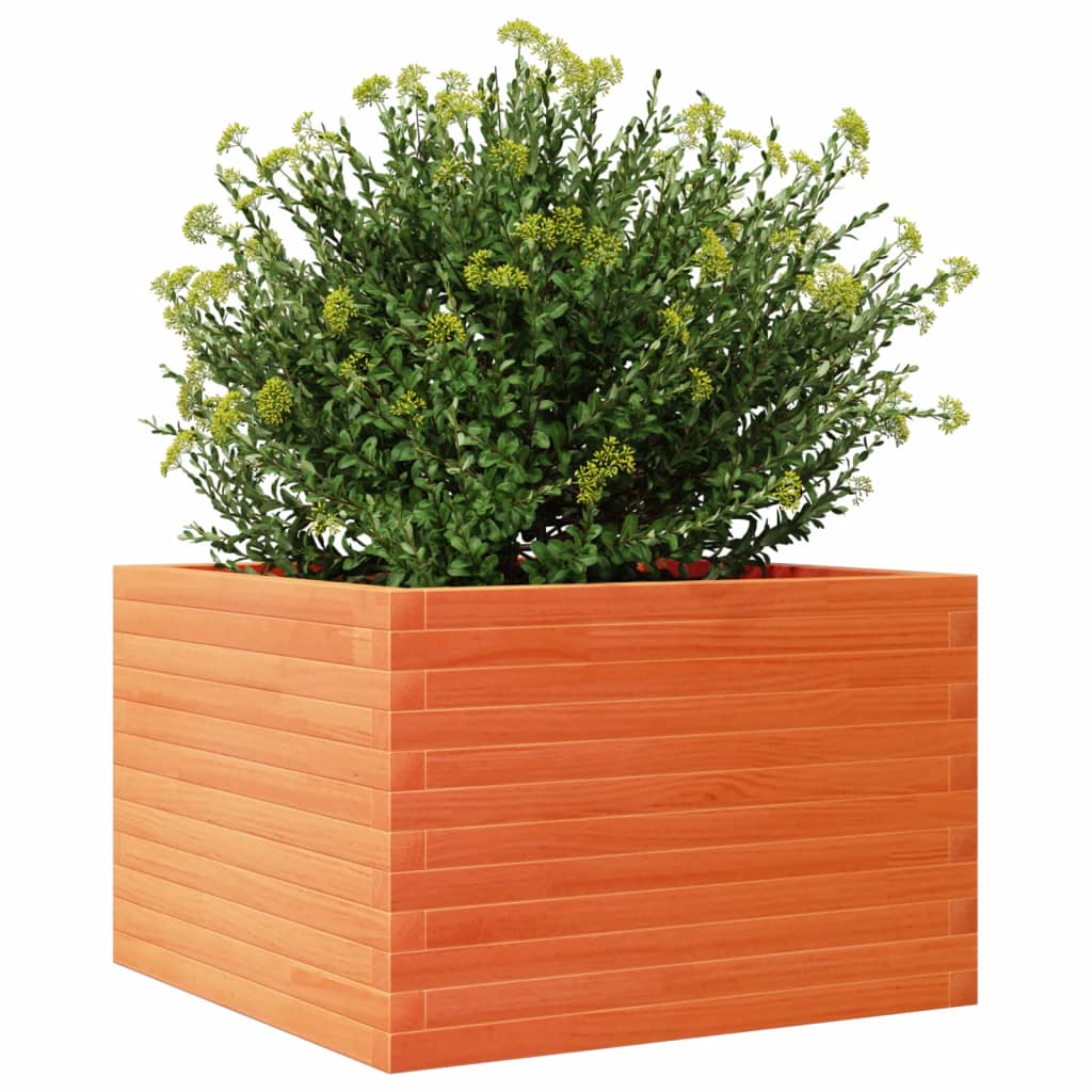 Plantekrukke voks brun 70x70x45,5 cm massivt fyrretræ