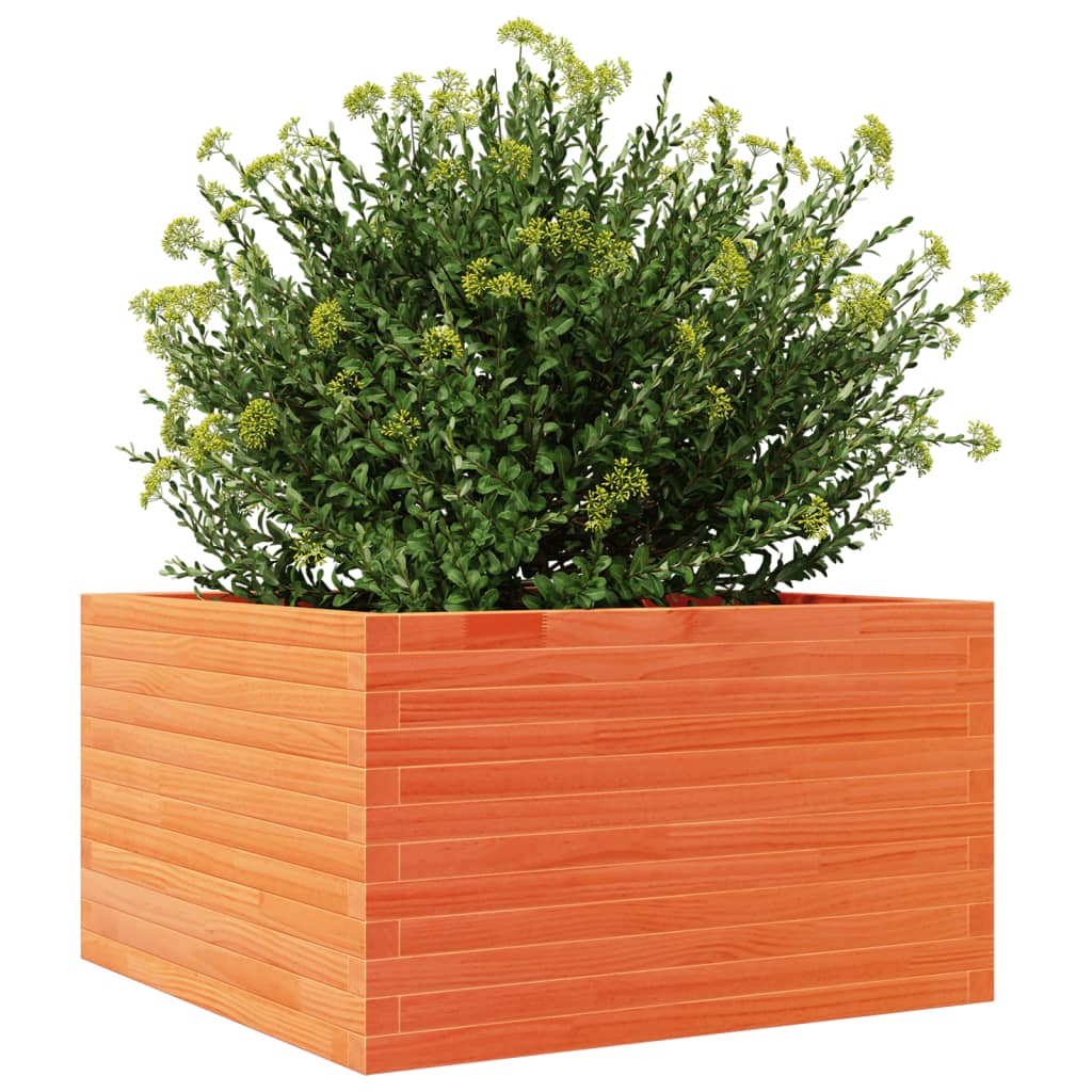 Plantepotte voks brun 80x80x45,5 cm massivt fyrretræ