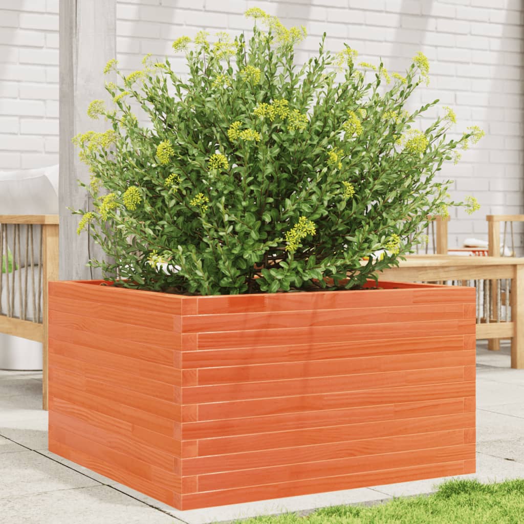 Plantepotte voks brun 80x80x45,5 cm massivt fyrretræ