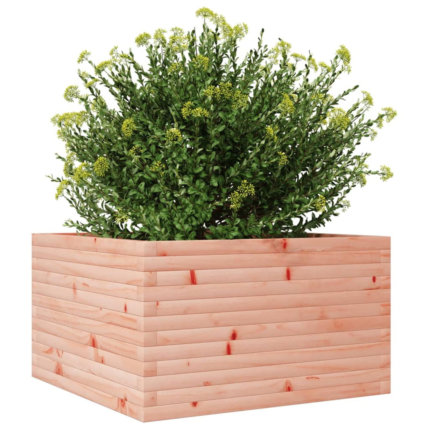 Plantepotte 80x80x45,5 cm massivt træ Douglasgran