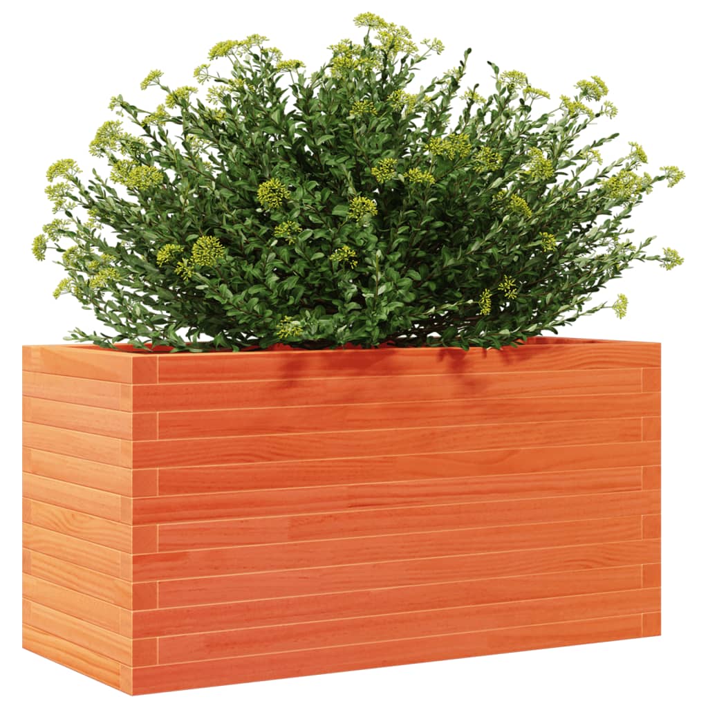 Plantekrukkevoks brun 90x40x45,5 cm massivt fyrretræ