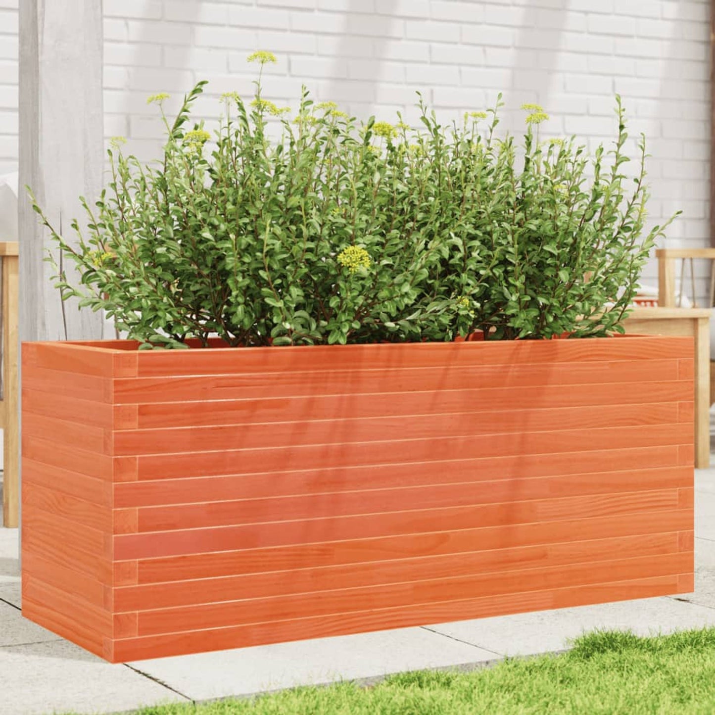 Plantekrukkevoks brun 110x40x45,5 cm massivt fyrretræ
