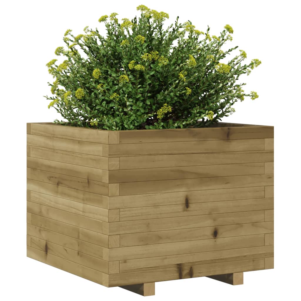 Plantekasse 60x60x49,5 cm Fyrretræ Imprægneret