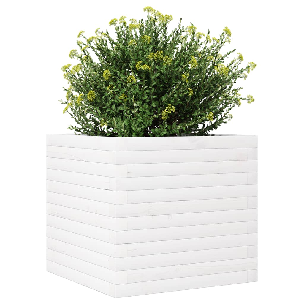 Plantepotte Hvid 50x50x46 cm Massiv fyrretræ