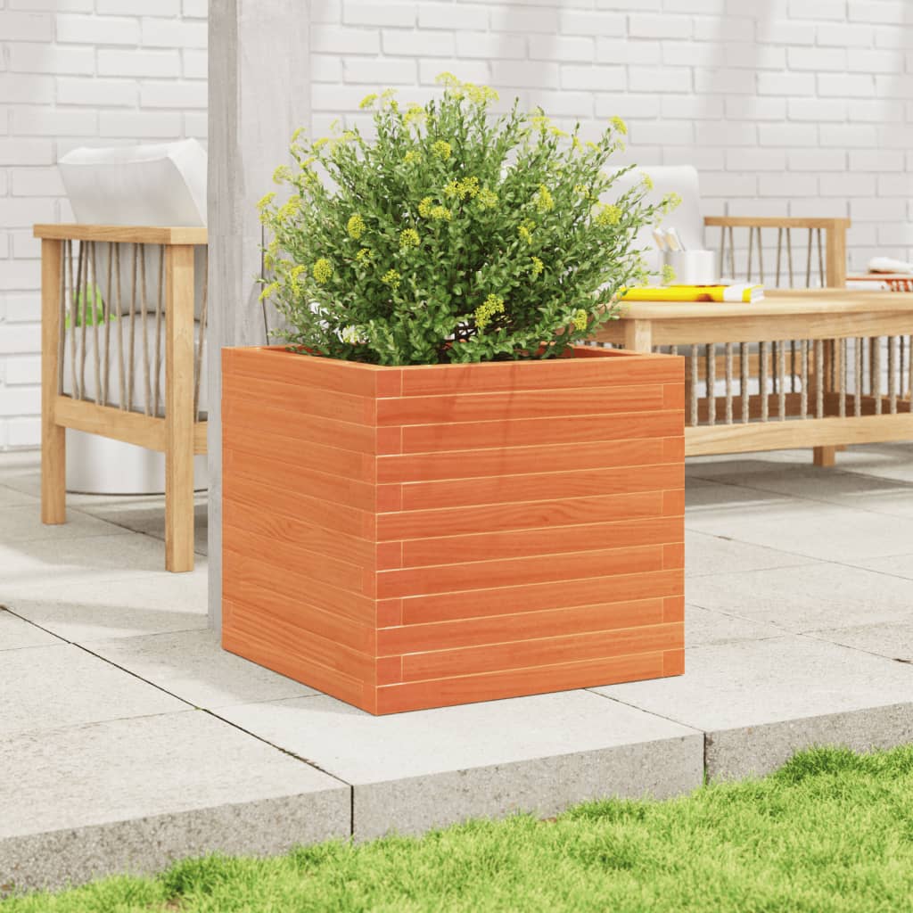 Plantepotte voks brun 50x50x46 cm massivt fyrretræ