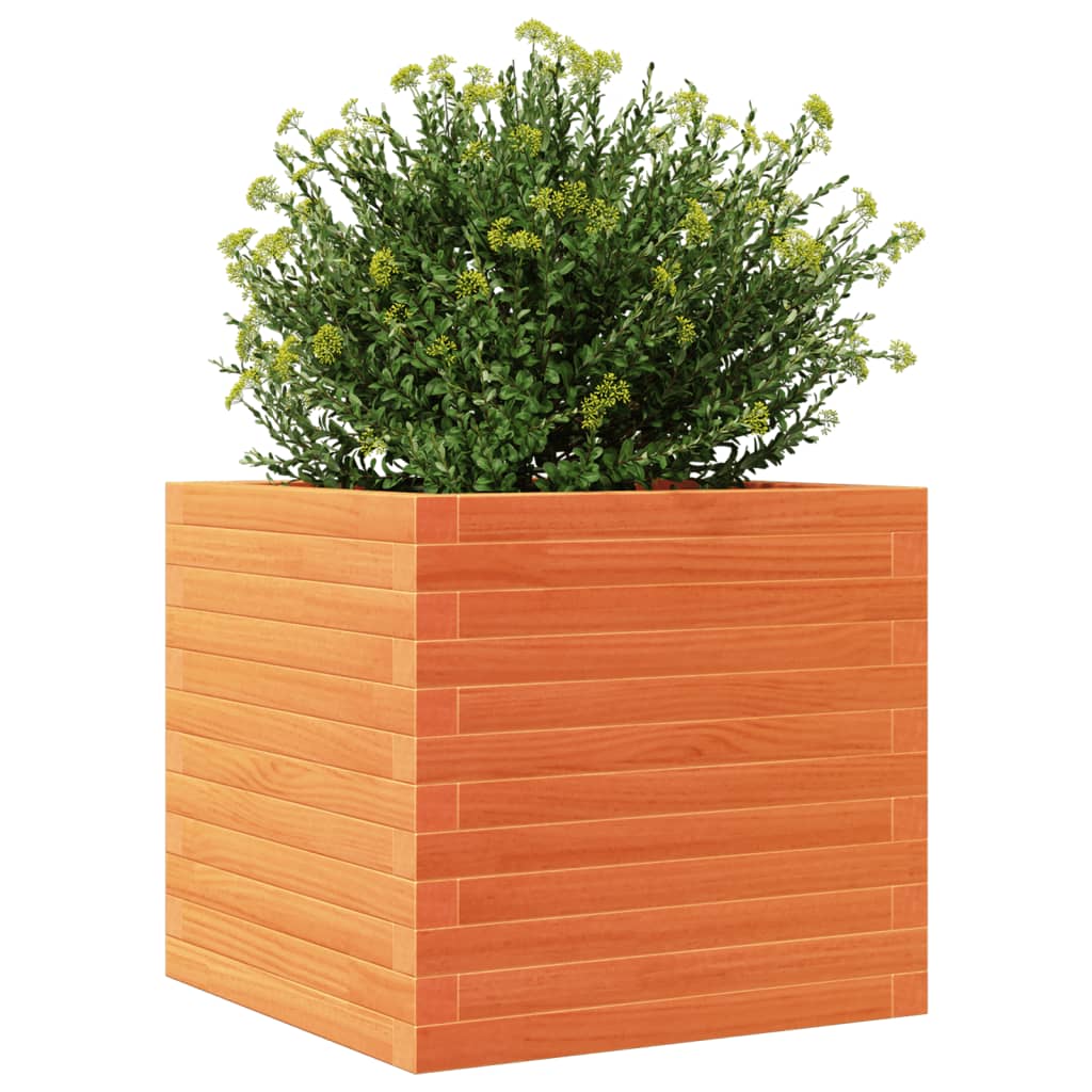Plantepotte voks brun 50x50x46 cm massivt fyrretræ