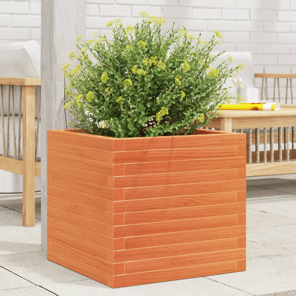 Plantepotte voks brun 50x50x46 cm massivt fyrretræ