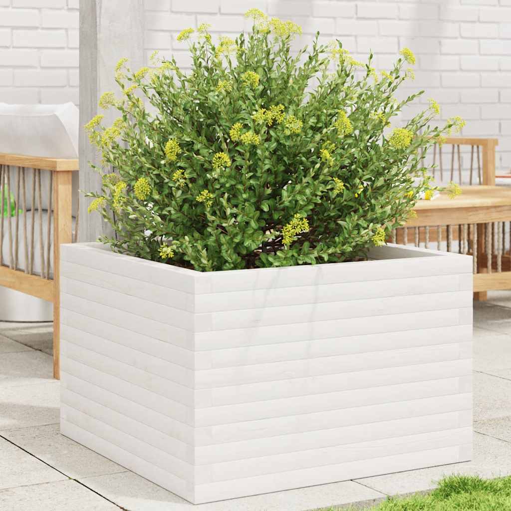 Plantepotte Hvid 70x70x46 cm Massiv Fyrretræ