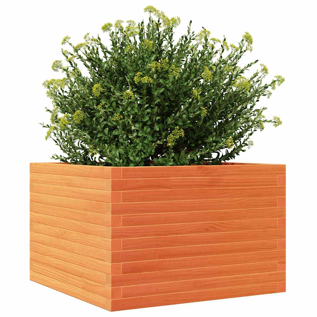Plantekrukke voks brun 70x70x46 cm massivt fyrretræ