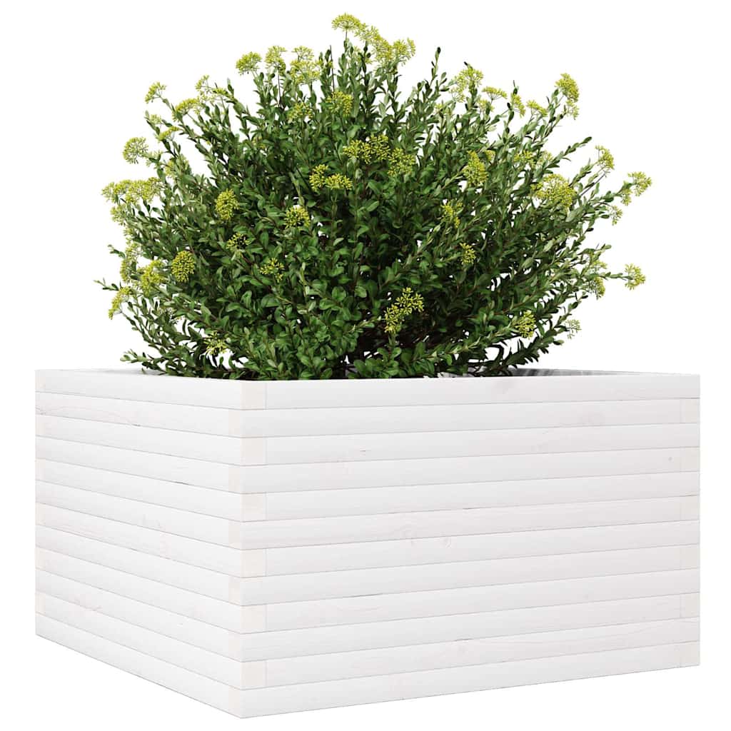 Plantepotte Hvid 80x80x46 cm Massiv fyrretræ