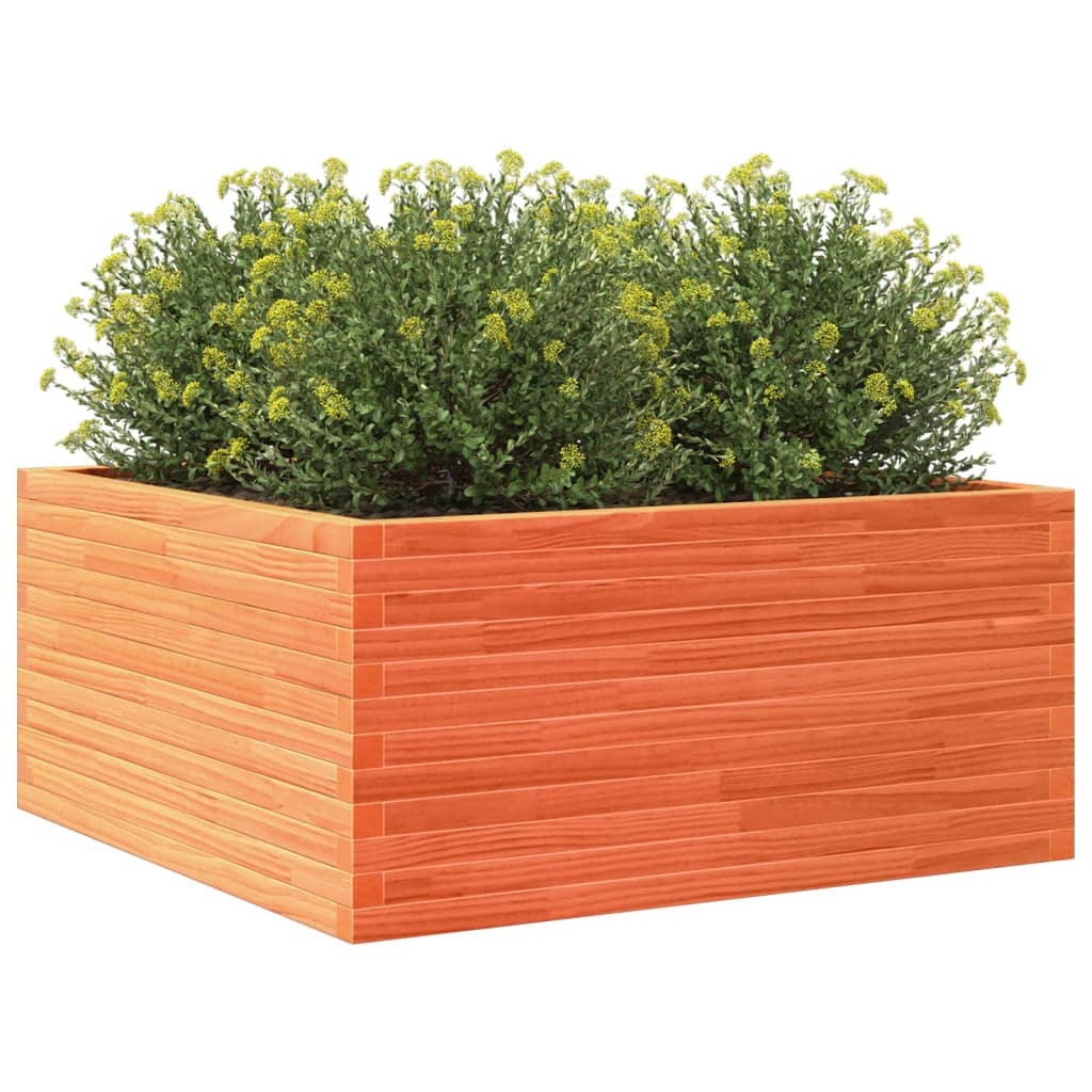 Plantepotte voks brun 100x100x46 cm massivt fyrretræ