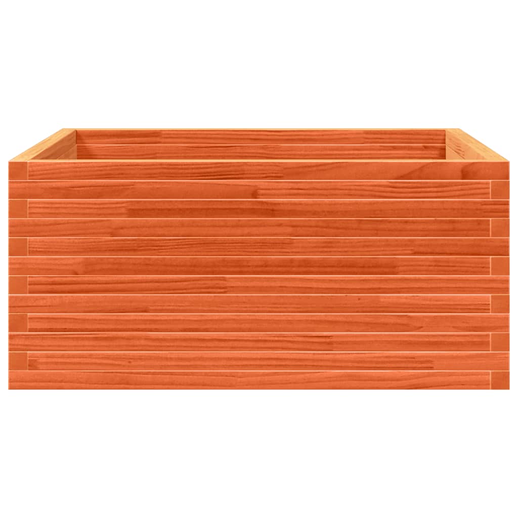 Plantepotte voks brun 100x100x46 cm massivt fyrretræ