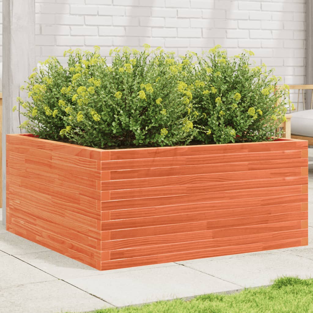 Plantepotte voks brun 100x100x46 cm massivt fyrretræ