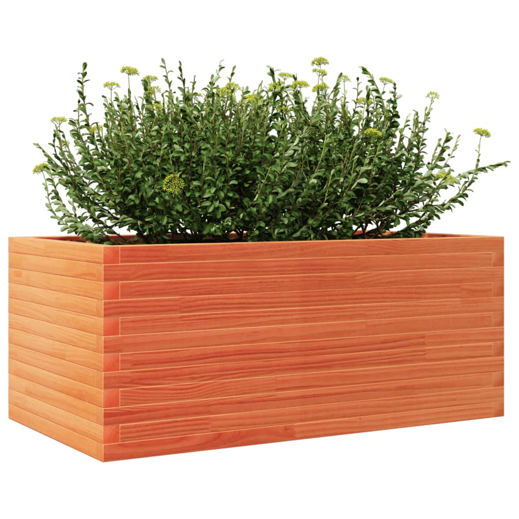 Plantepotte voks brun 110x60x46 cm massivt fyrretræ