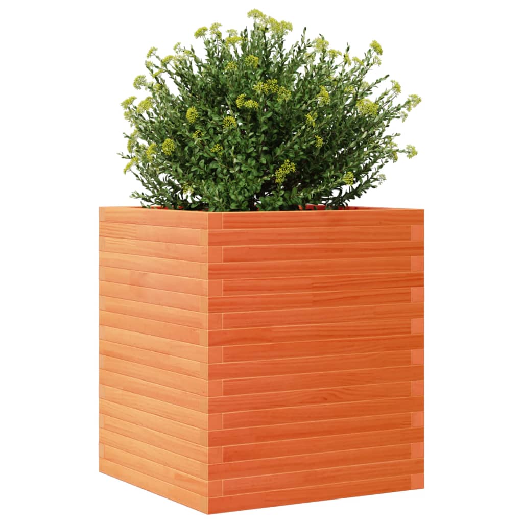 Plantepotte voks brun 60x60x68,5 cm massivt fyrretræ