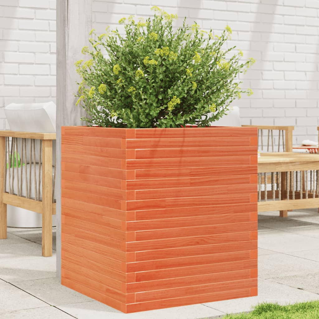 Plantepotte voks brun 60x60x68,5 cm massivt fyrretræ