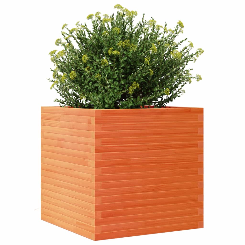 Plantekrukke voks brun 70x70x68,5 cm massivt fyrretræ
