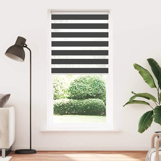 Doppelrollo Schwarz 95x230 cm Stoffbreite 90,9 cm Polyester