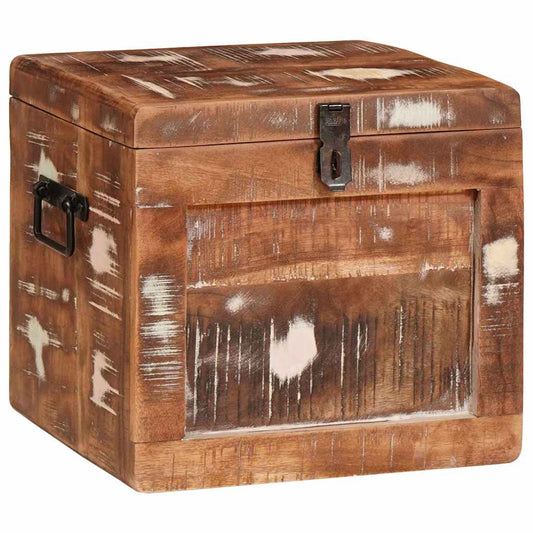 Aufbewahrungsbox mit Speicher Braun Massivholz Mango