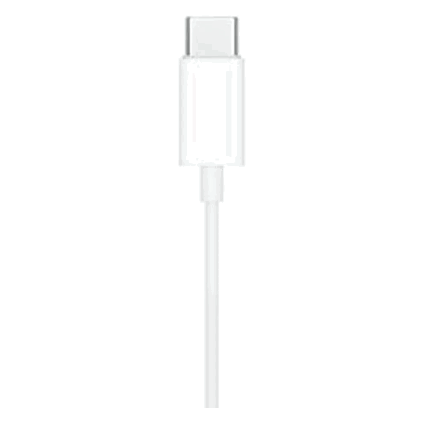 Apple EarPods USB-C Connector - Shopgalaxy.ch