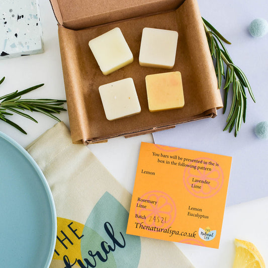 Citrus Mini Conditioner Bar Sampler - gift set with 4 mini conditioner bars-1