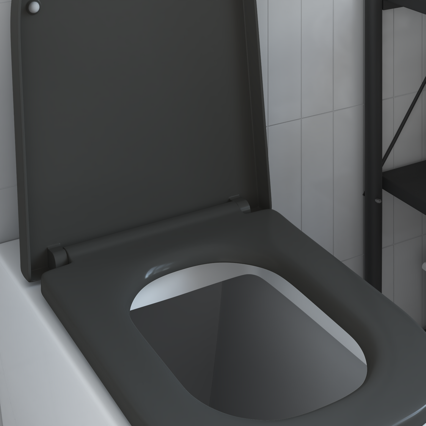 Toilettensitz mit Schnellverschluss und sanftem Schließen Duroplast Anthrazit