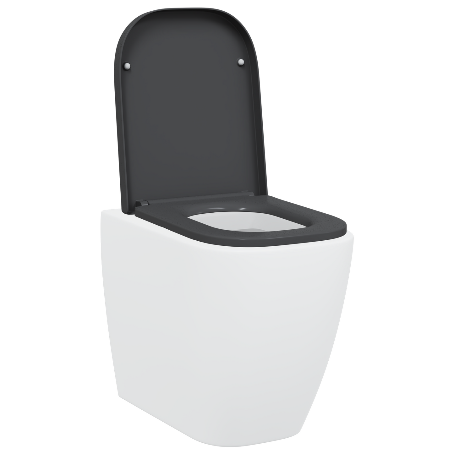 Toilettensitz mit Schnellverschluss und sanftem Schließen Duroplast Anthrazit