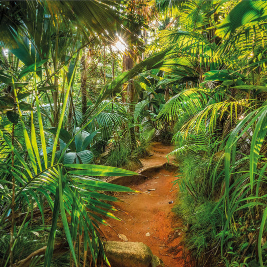 Fototapete Jungle Trail 368×254 cm